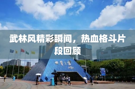 武林风精彩瞬间，热血格斗片段回顾