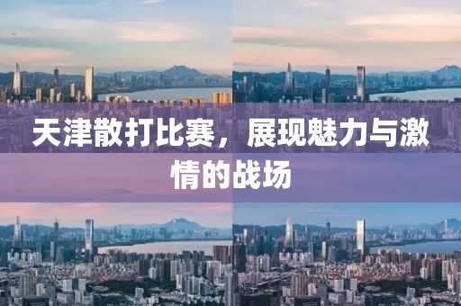 天津散打比赛，展现魅力与激情的战场