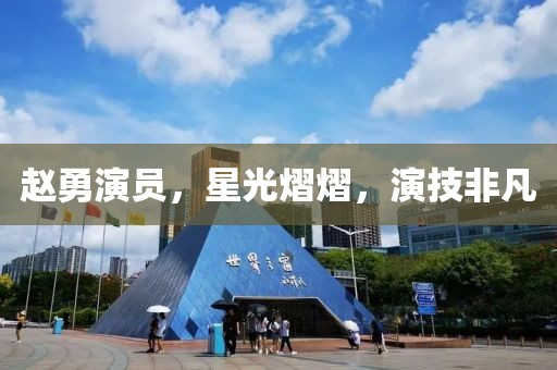 赵勇演员，星光熠熠，演技非凡