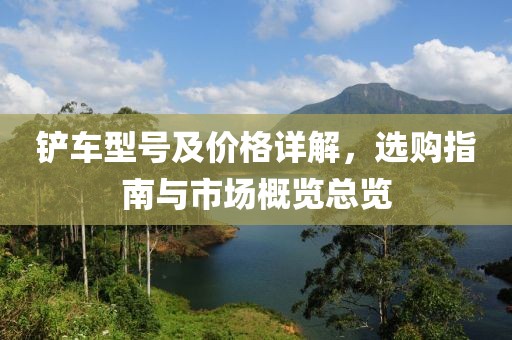 铲车型号及价格详解，选购指南与市场概览总览