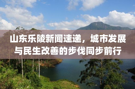 山东乐陵新闻速递，城市发展与民生改善的步伐同步前行