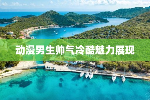 动漫男生帅气冷酷魅力展现
