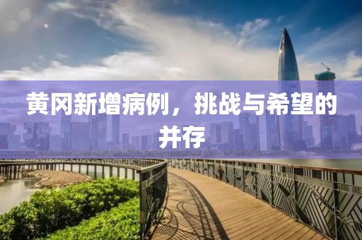 黄冈新增病例，挑战与希望的并存