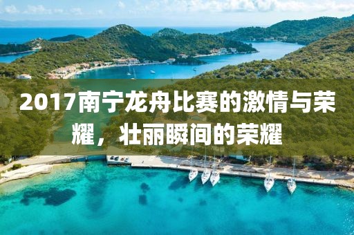 2017南宁龙舟比赛的激情与荣耀，壮丽瞬间的荣耀