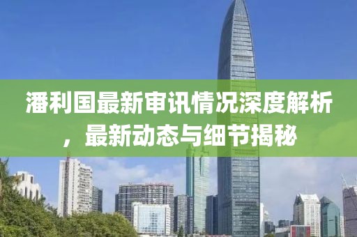 潘利国最新审讯情况深度解析，最新动态与细节揭秘