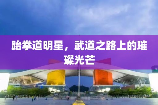 跆拳道明星，武道之路上的璀璨光芒