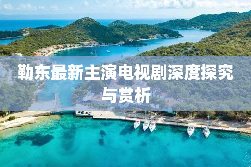 勒东最新主演电视剧深度探究与赏析