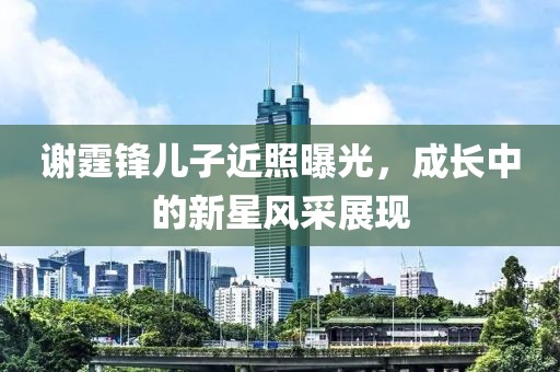 谢霆锋儿子近照曝光，成长中的新星风采展现