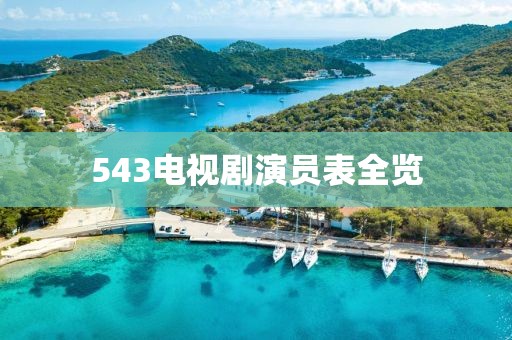 543电视剧演员表全览