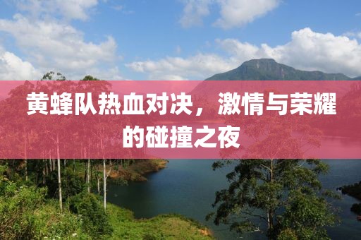 黄蜂队热血对决，激情与荣耀的碰撞之夜