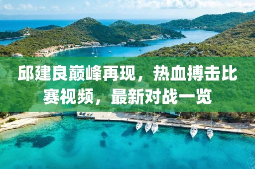 邱建良巅峰再现，热血搏击比赛视频，最新对战一览