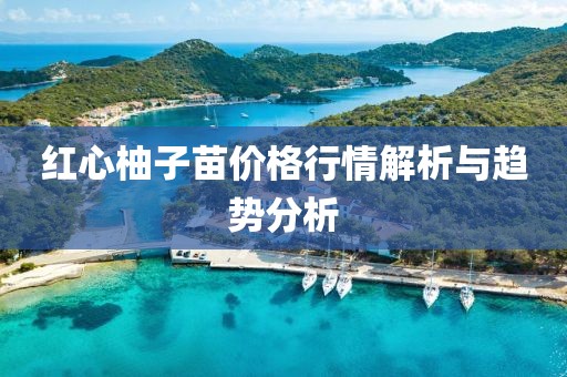 红心柚子苗价格行情解析与趋势分析