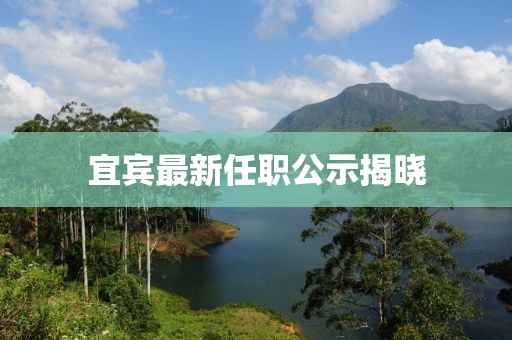 宜宾最新任职公示揭晓