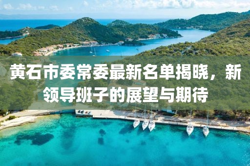 黄石市委常委最新名单揭晓，新领导班子的展望与期待