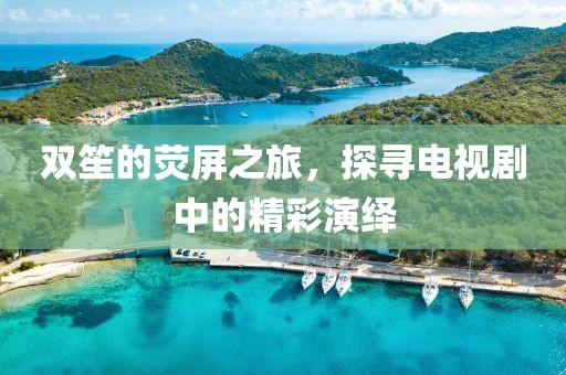 双笙的荧屏之旅，探寻电视剧中的精彩演绎