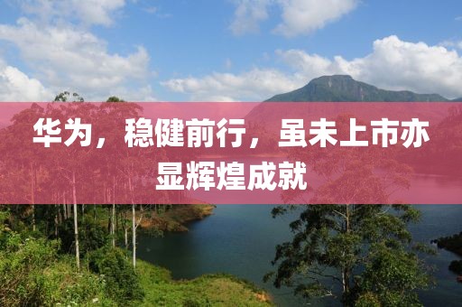 华为，稳健前行，虽未上市亦显辉煌成就