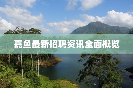 嘉鱼最新招聘资讯全面概览