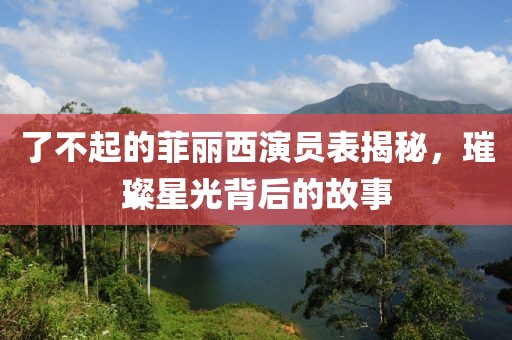 了不起的菲丽西演员表揭秘，璀璨星光背后的故事