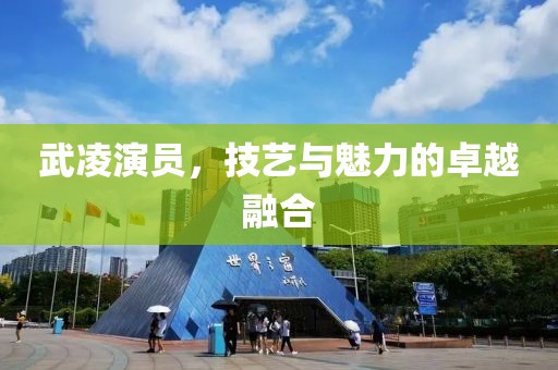 武凌演员，技艺与魅力的卓越融合