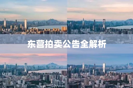 东营拍卖公告全解析