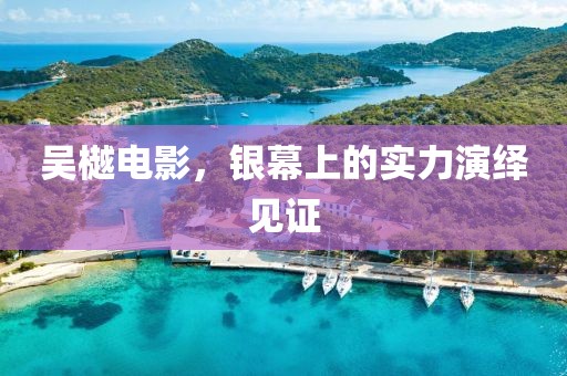 吴樾电影，银幕上的实力演绎见证