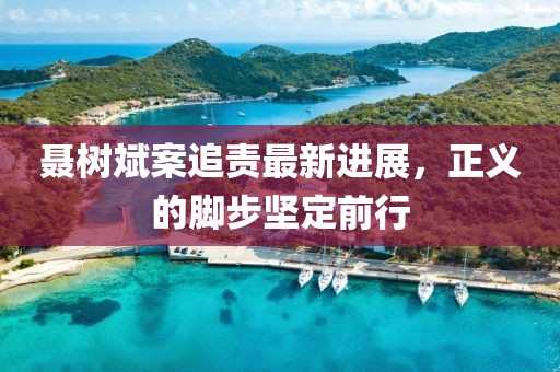 聂树斌案追责最新进展，正义的脚步坚定前行