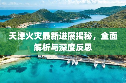 天津火灾最新进展揭秘，全面解析与深度反思