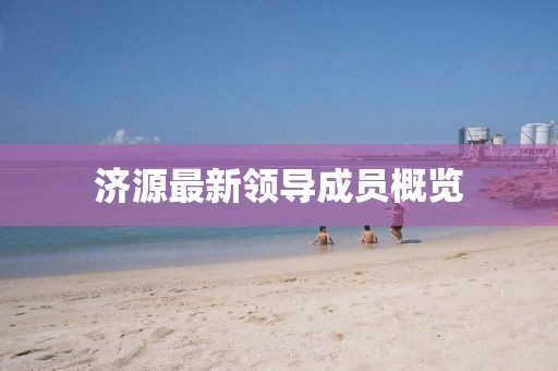 济源最新领导成员概览