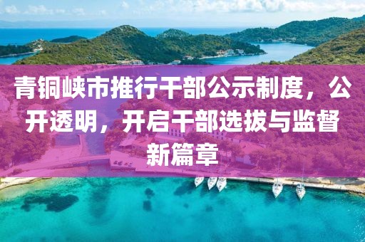 青铜峡市推行干部公示制度，公开透明，开启干部选拔与监督新篇章