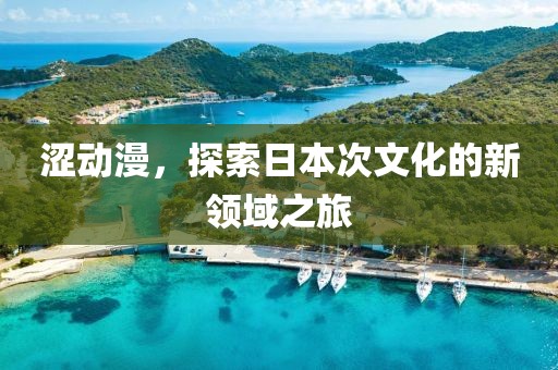 涩动漫，探索日本次文化的新领域之旅