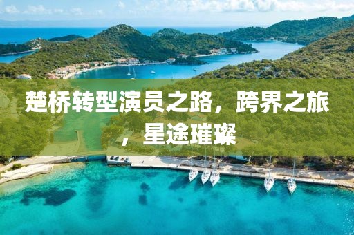 楚桥转型演员之路，跨界之旅，星途璀璨