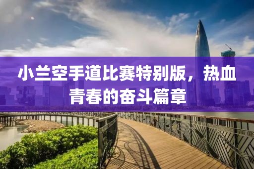 小兰空手道比赛特别版，热血青春的奋斗篇章