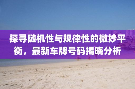 探寻随机性与规律性的微妙平衡，最新车牌号码揭晓分析