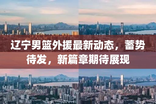 辽宁男篮外援最新动态，蓄势待发，新篇章期待展现