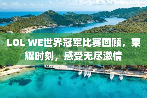 LOL WE世界冠军比赛回顾，荣耀时刻，感受无尽激情