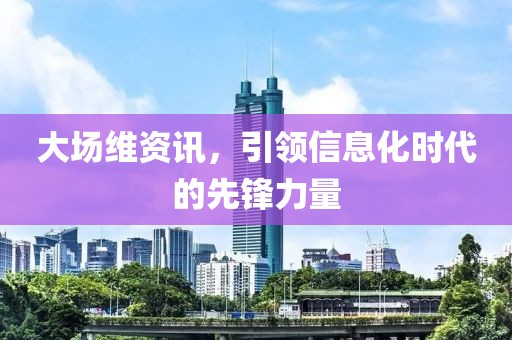 大场维资讯，引领信息化时代的先锋力量