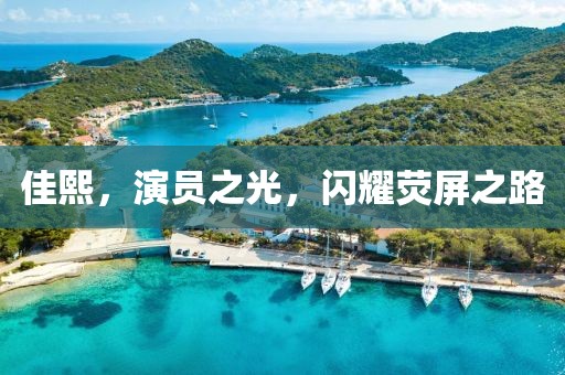 佳熙，演员之光，闪耀荧屏之路