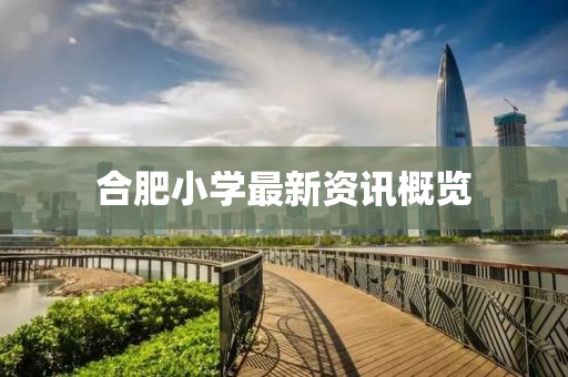 合肥小学最新资讯概览