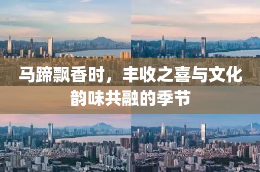 马蹄飘香时，丰收之喜与文化韵味共融的季节
