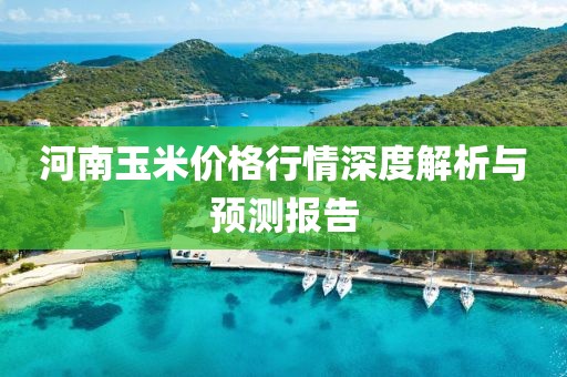 河南玉米价格行情深度解析与预测报告