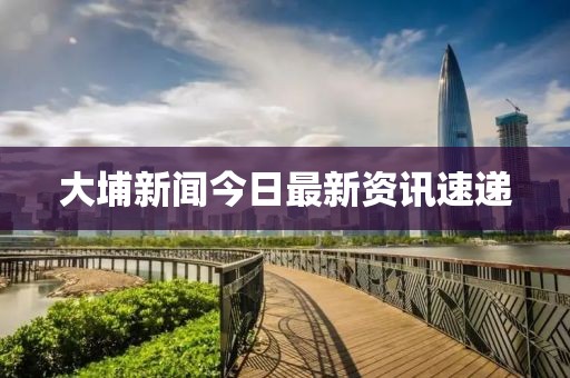 大埔新闻今日最新资讯速递