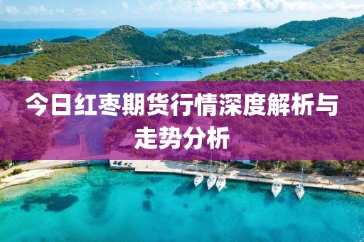 今日红枣期货行情深度解析与走势分析