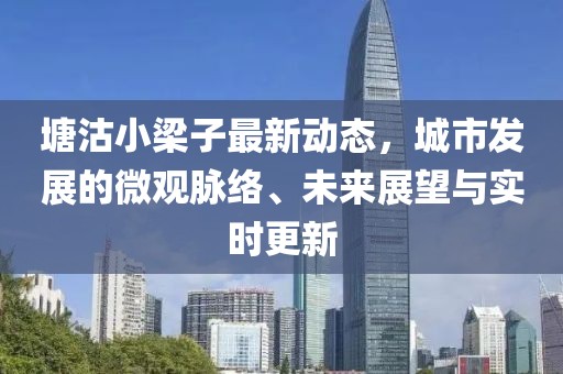 塘沽小梁子最新动态，城市发展的微观脉络、未来展望与实时更新