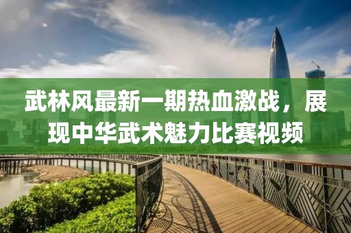 武林风最新一期热血激战，展现中华武术魅力比赛视频