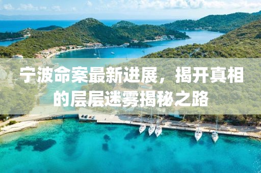 宁波命案最新进展，揭开真相的层层迷雾揭秘之路
