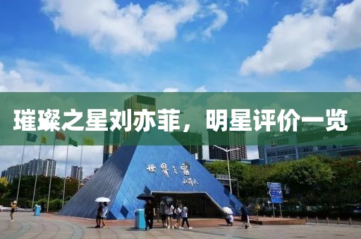 璀璨之星刘亦菲，明星评价一览