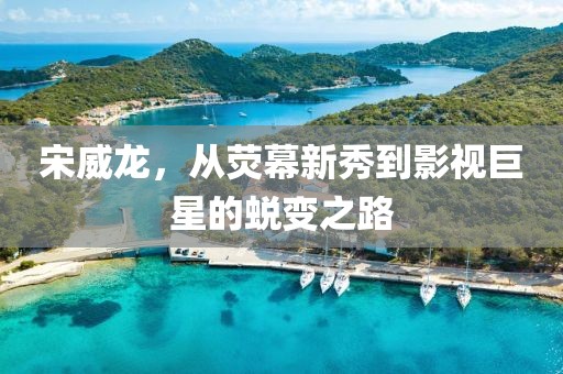 宋威龙，从荧幕新秀到影视巨星的蜕变之路