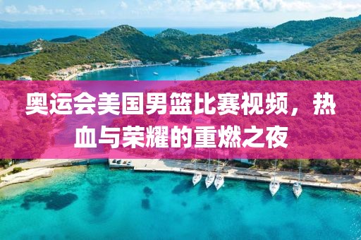 奥运会美国男篮比赛视频，热血与荣耀的重燃之夜