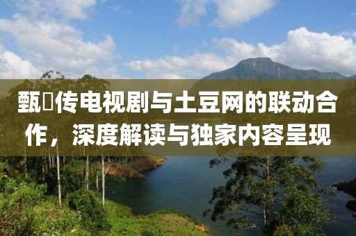 甄嬛传电视剧与土豆网的联动合作，深度解读与独家内容呈现