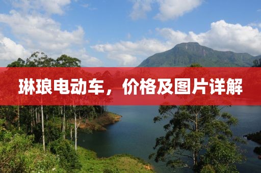 琳琅电动车，价格及图片详解